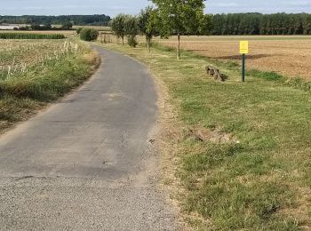 Tocht Stappen Lassigny - parcours sportif lassigny  - Photo