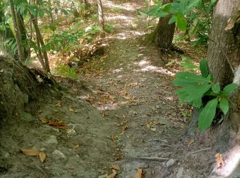 Tour Mountainbike Montendre - montendre , chepniers - Photo