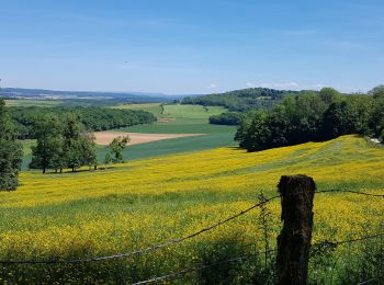 Tour Wandern Jussey - marche don du sang Jussey 15 5 2022 - Photo