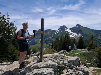 Randonnée Marche Brizon - BARGY: SOLAISON - CENISE par le 