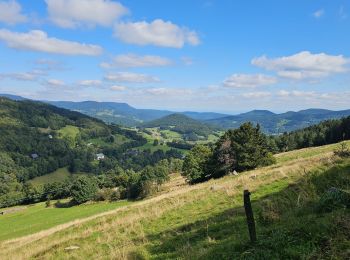 Excursión Bici de montaña Orbey - Welche E Bike Tour 2024 - Photo