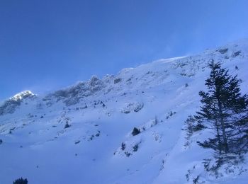 Tocht Ski randonnée Saint-Honoré - st Honoré M'ont Tabor - Photo
