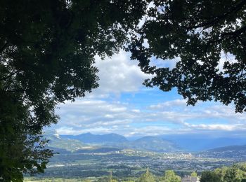 Trail Walking Le Bourget-du-Lac - Vers col de l épine - Photo