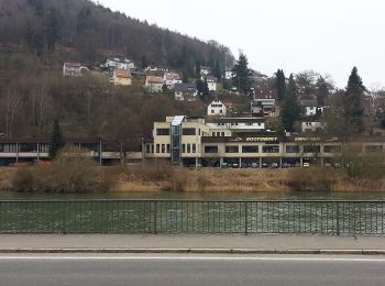 Randonnée A pied Eberbach - Rundwanderweg Stolzeneck 2: Neckarblick-Weg - Photo