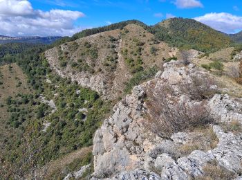 Tocht Stappen Vitrolles - Pic de Crigne - Photo