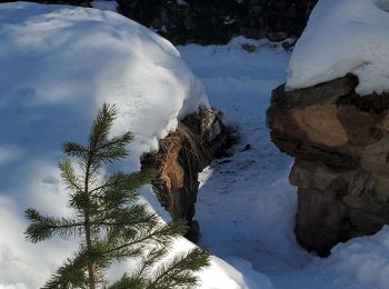 Randonnée Raquettes à neige Ceillac - ceillac ravin du clos des oiseaux 11kms 506m  - Photo