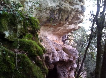 Randonnée Marche Trémolat - Grotte - Photo