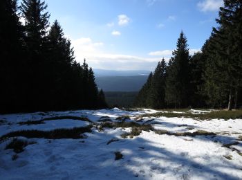 Randonnée A pied Wernigerode - Wegenetz Schierke - Brocken - Photo