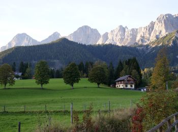 Tocht Te voet Ramsau am Dachstein - Rittisberg Rundweg 