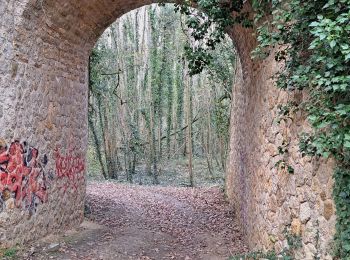 Trail Walking Morigny-Champigny - pontde4 - Photo