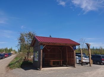 Percorso A piedi Willebadessen - Alte Eisenbahn Rundweg A3 - Photo