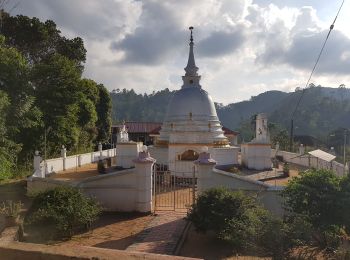 Tour Wandern  - Sri-10 Bandarawela  - Iddalgasinne - Bambarakanda - Lyangahawela - Photo