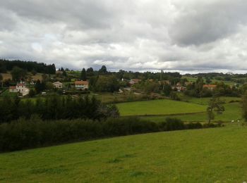 Tocht Stappen Saint-Pal-de-Chalencon - chier Marty st Pal en Chalencon  - Photo