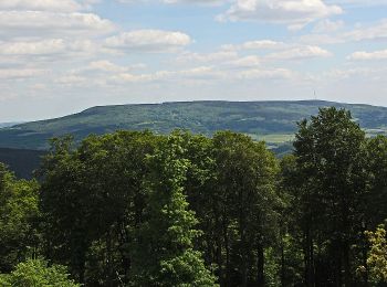 Percorso A piedi Gutsbezirk Kaufunger Wald - Kaufunger Wald, Rundweg 11 - Steinberg - Photo