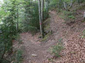 Trail Walking Châtillon-en-Diois - Circuit des Baumes - Pont de vachères-Soubreroche - Boulc - Photo