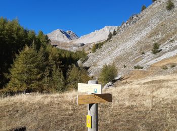 Trail Walking Uvernet-Fours - les crêtes de la pierre éclatée  - Photo