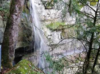 Tocht Stappen Talloires-Montmin - cascade langon - Photo