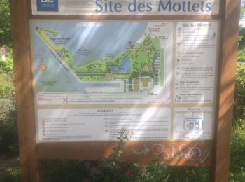 Tour Wandern Viviers-du-Lac - Motets - Photo