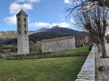 Tour Wandern Carbini - Autour de Carbini et l'essentiel des Giovanalli  - Photo