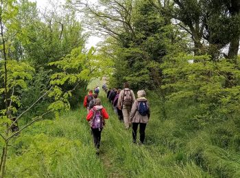 Trail Walking Épaux-Bézu - Épaux-Bézu du 14-05-2023 - Photo