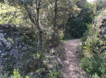 Trail Walking Saint-Bonnet-du-Gard - Pont du Gard  par St Bonnet - Photo