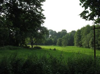 Randonnée A pied Inconnu - Dreieck Dortmund Tierpark - Syburg - Photo