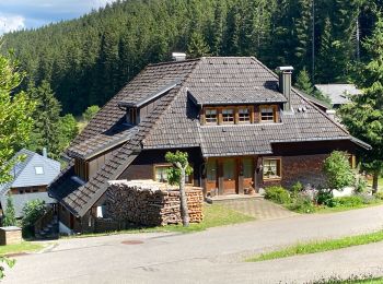 Tour Wandern Feldberg - Feldsee & Feldberg - Photo