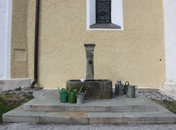 Tour Zu Fuß Schwarzach im Pongau - Verbindung Schwarzach/St. Veit/Goldegg - Photo
