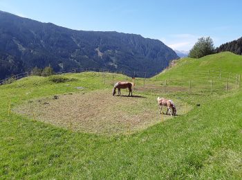 Trail On foot Predazzo - Troi dei soldai - Photo