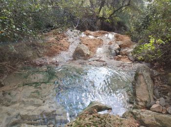 Tour Wandern Puget-Ville - puget ville tour du faucon les cretes - Photo