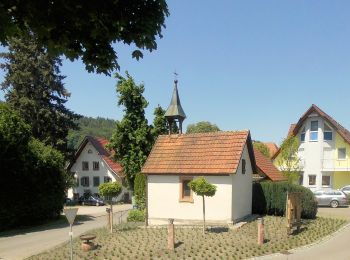 Percorso A piedi Seelbach - Seelbach Panoramawanderung - Photo