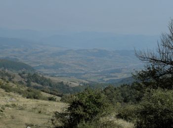 Percorso A piedi Sconosciuto - Gârnic – Ravensca – Valea Izvorul Lung – Poiana Debeliliug – Bigăr – Poiana Ravna – Dubova (red stripe) - Photo
