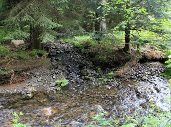 Randonnée A pied Stadtsteinach - Geo-Pfad Steinachtal - Photo