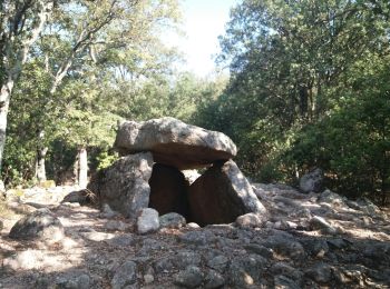 Excursión Senderismo Arles-sur-Tech - E1-GR10-2024 - Photo