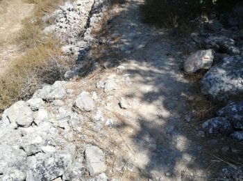 Trail Trail Beitar Ilit - Husan WHP - Photo