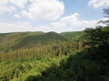 Trail Walking Aywaille - Le Ninglinspo   - Photo