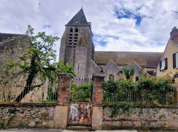 Tour Wandern Voulx - Entre Yonne et Orvalle  - Photo