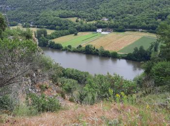 Tour Wandern Cabrerets - Lot CABRERET BEARD - Photo