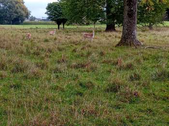 Tour Wandern Ouffet - ouffet reco 0925 - Photo