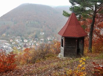 Randonnée A pied Bad Urach - Hengen - Urach Innerer Zugangsweg Schwäbischen Albvereins (gelbes Dreieck) - Photo