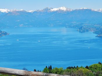 Trail On foot Stresa - IT-VL5 - Photo