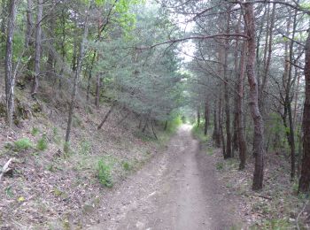 Trail Walking Génissieux - F26380 Peyrins bois des Vignes - Photo