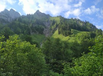 Tour Wandern Talloires-Montmin - Rando ANF - La Tournette - Photo