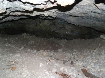 Tour Zu Fuß Illschwang - Illschwang Wanderweg 6 - Photo