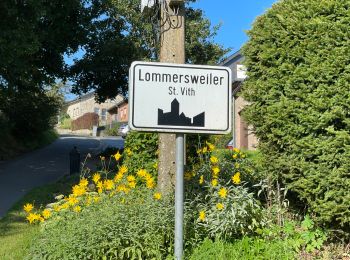 Randonnée Marche Saint-Vith - Lommersweiler version longue 2023 - Photo