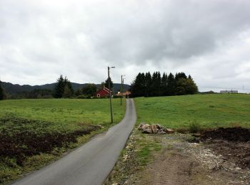 Randonnée A pied Inconnu - Kalandseid - Solbakkafjellet - Photo