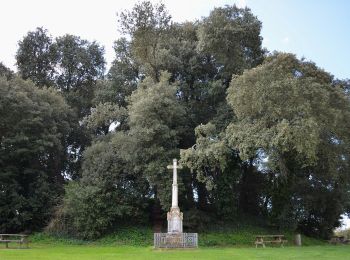 Tocht Te voet Bois-de-Céné - Sentier des Roseaux - Photo