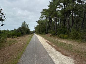 Trail Electric bike Vendays-Montalivet - Grayan - Photo