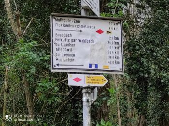 Trail Walking Mulhouse - Zoo - Photo