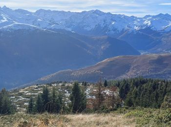 Percorso Marcia Saccourvielle - Cap de Salières en boucle depuis Saccourvielle - Photo